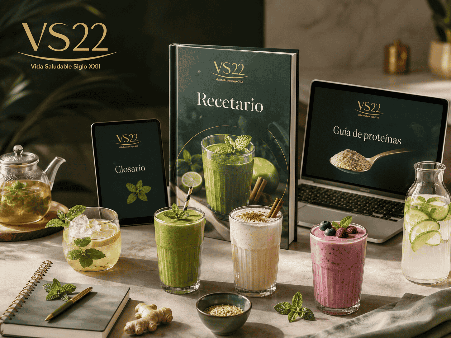 Recetario, glosario y guía de proteínas de Bebidas Funcionales VS22