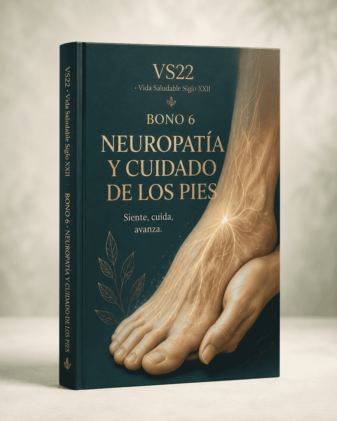 Cuidado diario de los pies y señales que conviene reconocer a tiempo.